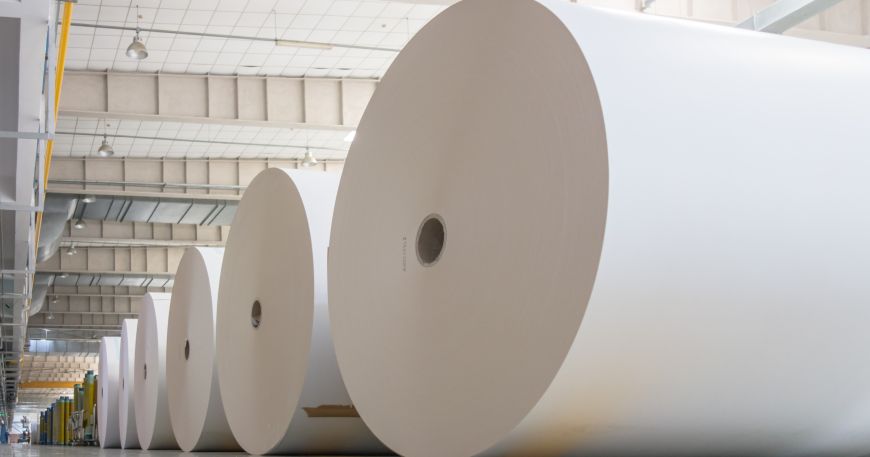 A warehouse full of rolls of paper waiting to be used as face stock for labels.