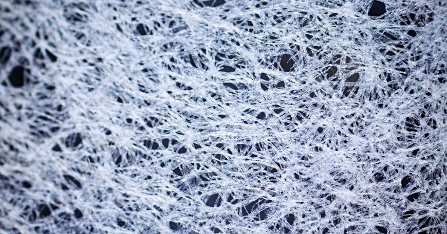The fibres of a sheet of white paper as seen under a microscope. 