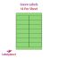 Green Labels For Inkjet/Laser Printers, 14 per sheet, 99.1 x 38.1mm, LP14/99 Green
