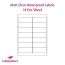 Matt Transparent Labels, 14 Per Sheet, 99.1 x 38.1mm, LP14/99 MTP