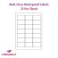 Matt Transparent Labels, 21 Per Sheet, 63.5 x 38.1mm, LP21/63 MTP