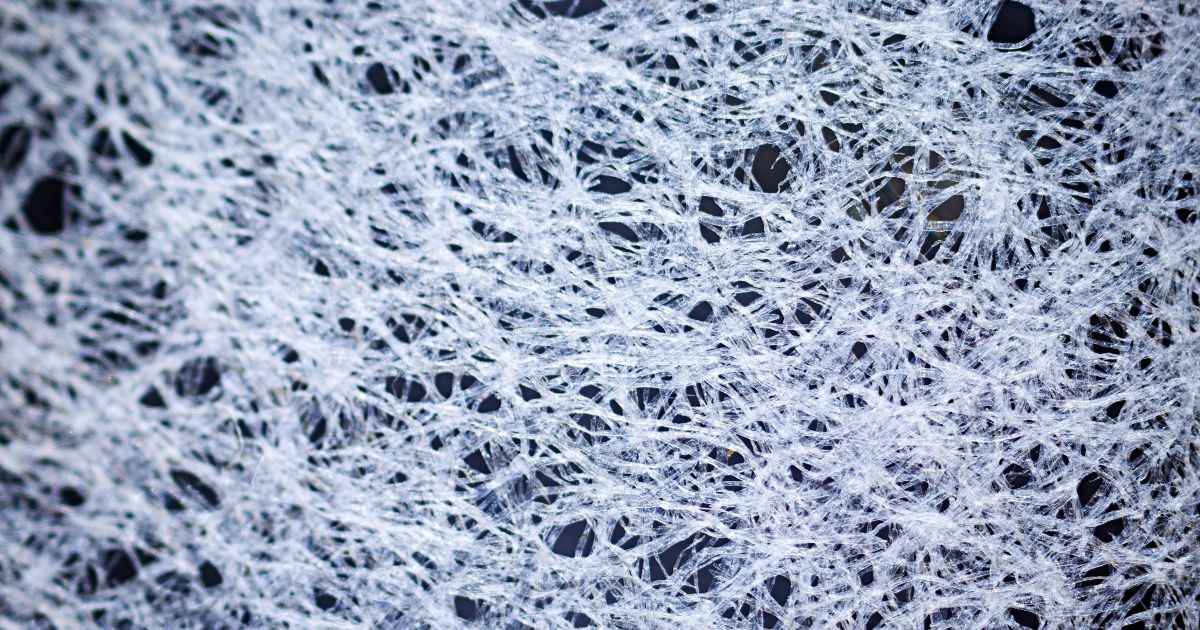 What is fibre definition | Labelplanet