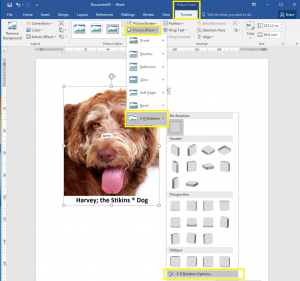 How to rotate images in Word, step one