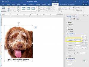 How to rotate images in Word, part two