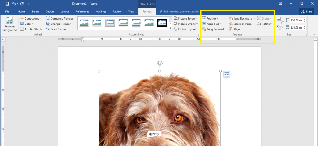 Where to find Word's Arrange Tools in the Format Tabs