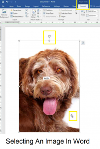 Selecting an image in Word